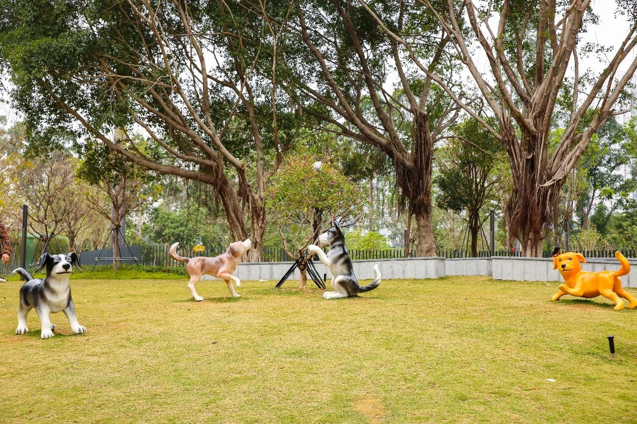 多地宠物公园开放，人与动物共享绿色空间的新时代开启