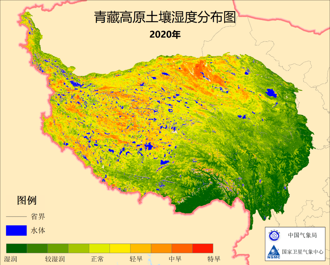 高原植被生态恢复的重大科学突破与研究成果