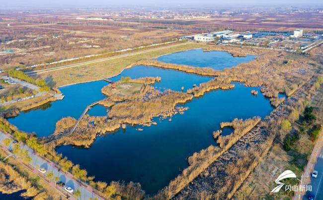 人工湿地修复项目成功实施，生物多样性显著回升，湿地焕发生机与活力