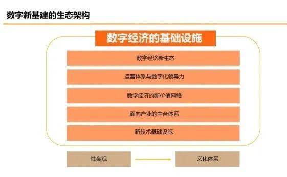 2024年12月19日 第5页