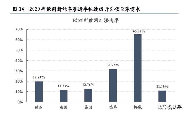 净土花开 第3页