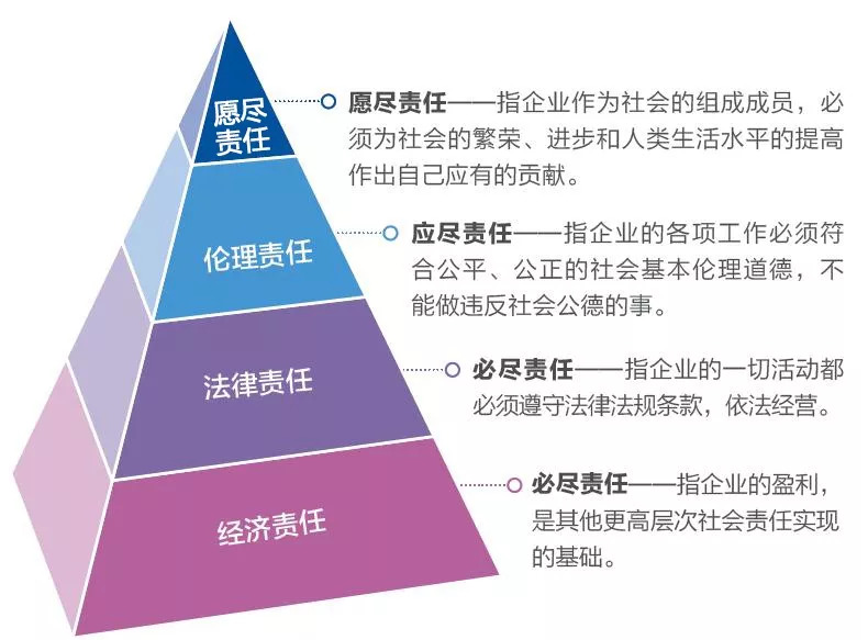 企业社会责任意识增强与社会价值重塑的关联研究