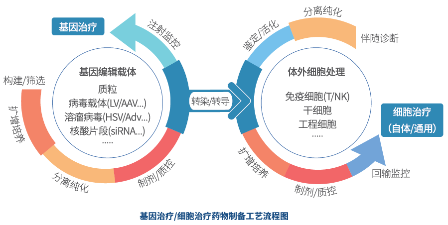 精准医疗时代来临，基因组学引领个性化治疗革新