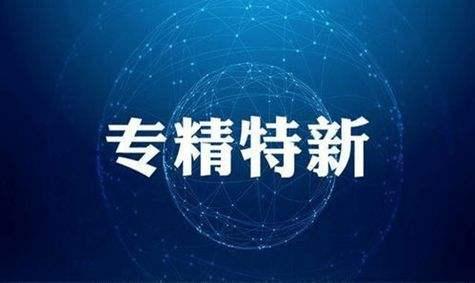 中小企业创新能力提升与政府政策助力的协同进步