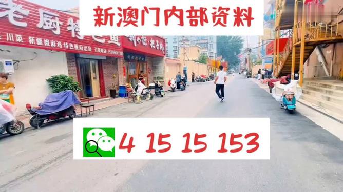 2024年澳门天天开好彩大全46期最新正版数据整,实地执行数据分析_潮流版77.813