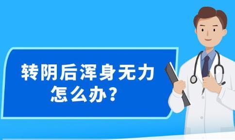 2024年12月21日 第15页