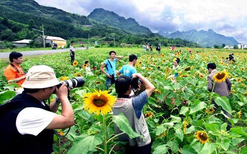 科技助力乡村旅游蓬勃发展与推广