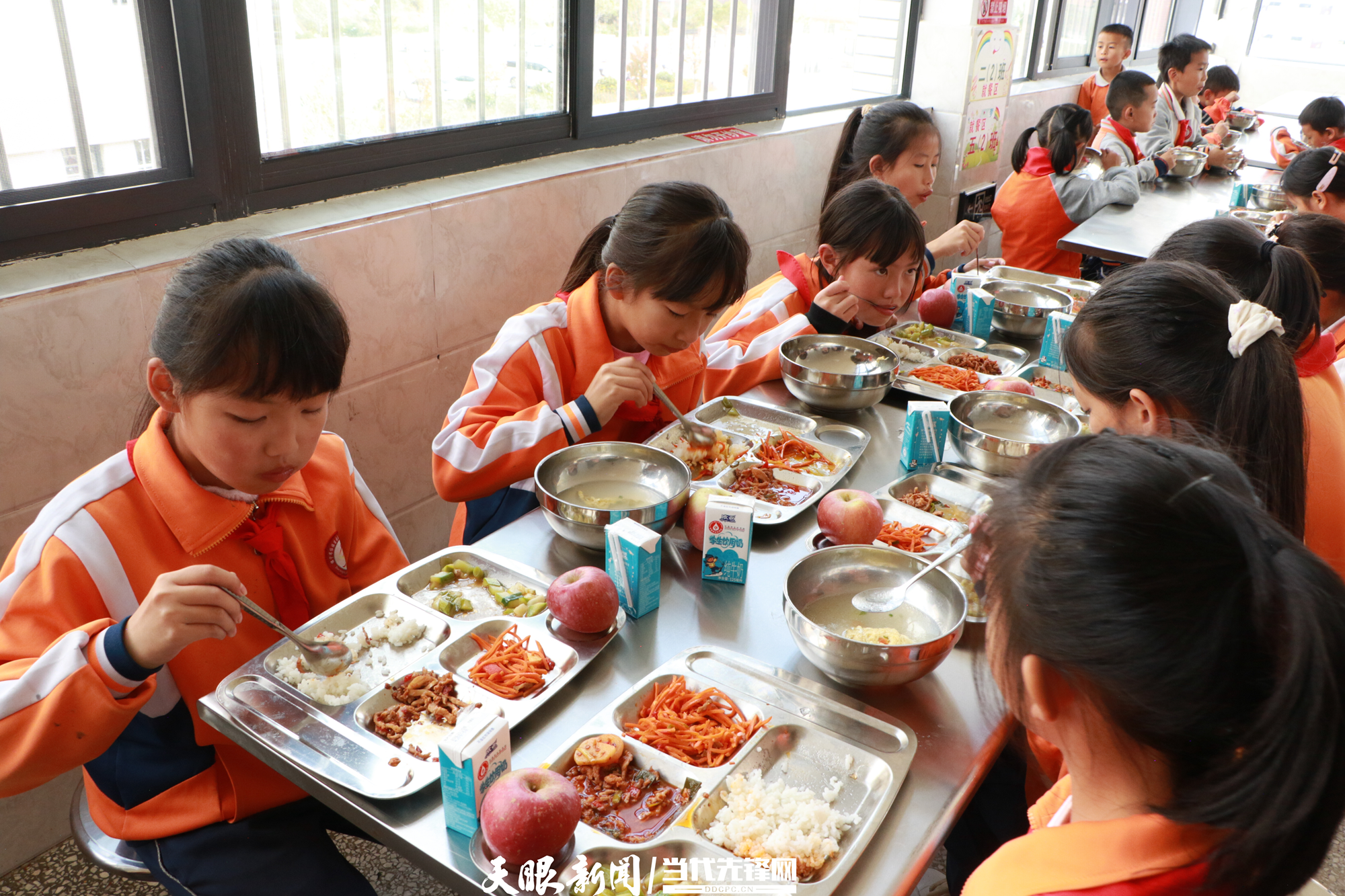 多地推广学生营养午餐计划，助力学生健康成长