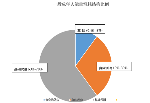 2024年12月 第65页