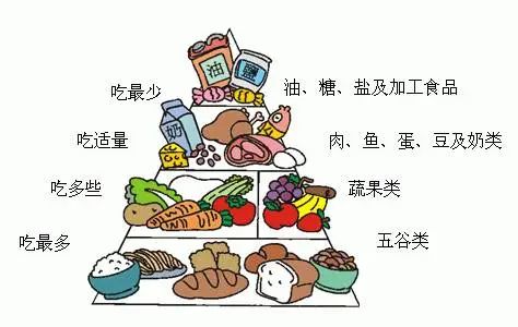 如何通过食物增强身体免疫力？