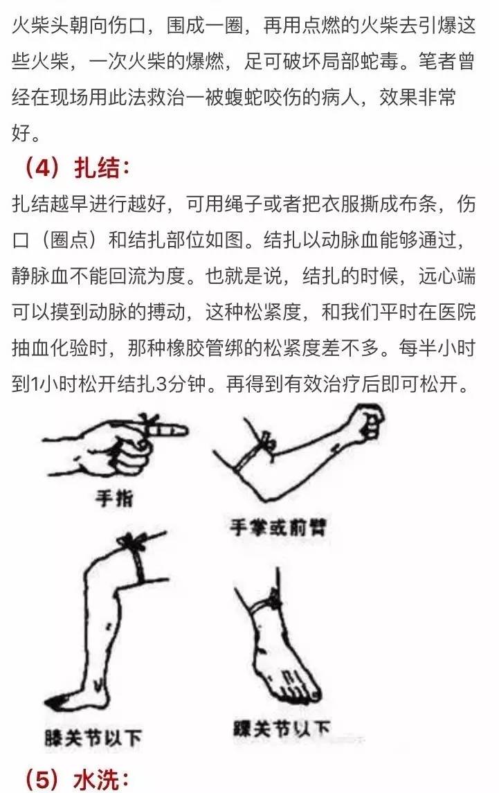 毒蛇咬伤应急处理与急救方法指南